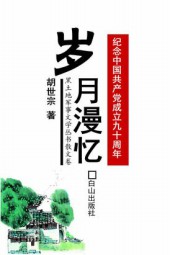 岁月漫忆