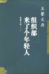 组织部来了个年轻人
