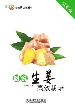 图说生姜高效栽培