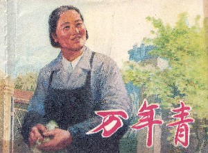 万年青