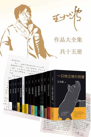 王小波作品大全集【15册】