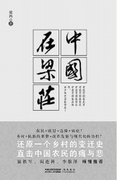 中国在梁庄