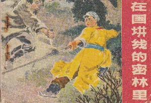 在国境线的密林里