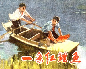 一条红鲤鱼