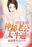 千亿宠妻：神秘老公，太牛逼