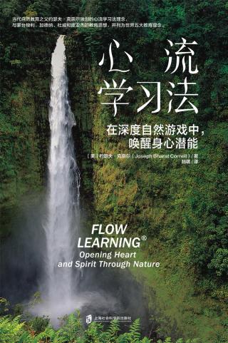 心流学习法